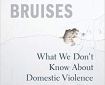 Cover Art: No Visible Bruises by Rachel Louise Snyder: Showing plaster as broken by the impact of a fist: but also referring to a fragmented, fractured self