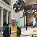 T-Rex nick=named "Sue" sneaking up on unsuspecting tourist to perpetrate bullying at the Field Museum